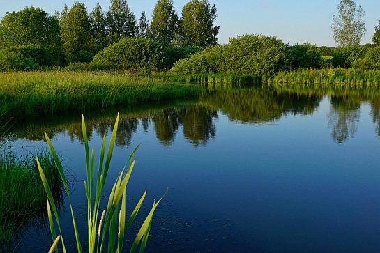 О качестве воды водоёмов в зонах рекреаций и местах водозаборов для централизованного водоснабжения на территориях города Новочеркасска, Аксайского, Багаевского, Весёловского районов